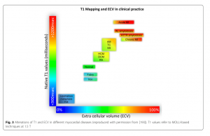 図3　各疾患におけるNative T1とECVの変化　　 文献[1]　より引用